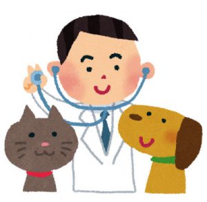 埼玉県毛呂山町の動物病院を紹介